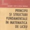 Principii si structuri fundamentale in matematica de liceu, Volumul al II-lea - Geometrie si trigonometrie