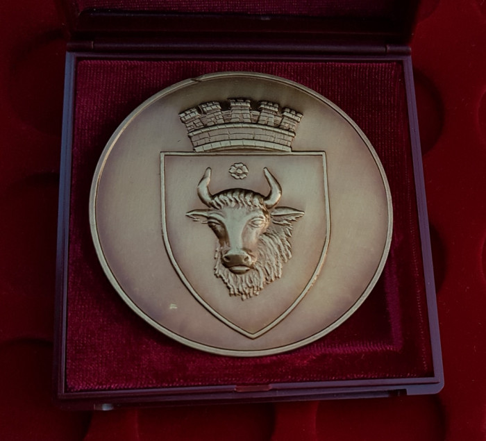 Medalie Sighetul Marmatiei , heraldica , atestare documentara