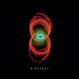 Pearl Jam Binaural LP reissueremastered (2vinyl)
