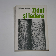 Zidul si iedera - Mircea Malita