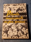 Plante medicinale din flora spontana