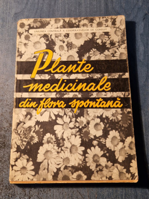 Plante medicinale din flora spontana foto