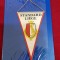 fanion Standard Liege