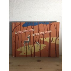 Ruth Schauer, Else Schlesinger, Ursula Harwath - Lucru Manual cu cei Mici