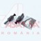 Set Ghidaj Etrier Log./Clio 47650 32676