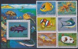 Timbre din Comore cu pești din Oceanul Indian