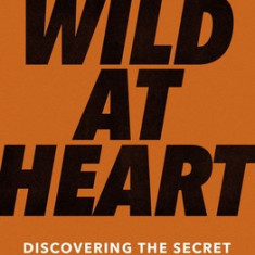 Wild at Heart Expanded Ed: Discovering the Secret of a Man's Soul