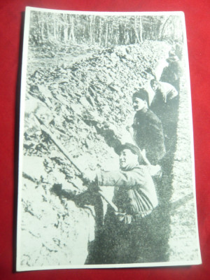 Fotografie -Brigadieri -Voluntari la Conducta Agnita-Botorca 1947,dim.=17,6x11,4 foto