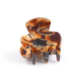 Cleste de par animal print