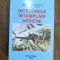 Incredibile intamplari aeriene - Constantin Iordache, aviatie / R4P1S