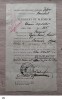 Certificat de alegator Bucuresti 1919