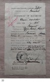Certificat de alegator Bucuresti 1919