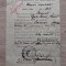 Certificat de alegator Bucuresti 1919