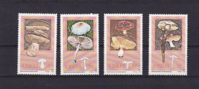 Ciskei 1987 - Ciuperci, serie neuzata