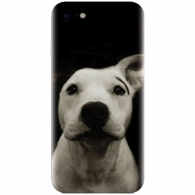 Husa silicon pentru Apple Iphone 6 / 6S, Funny Dog foto