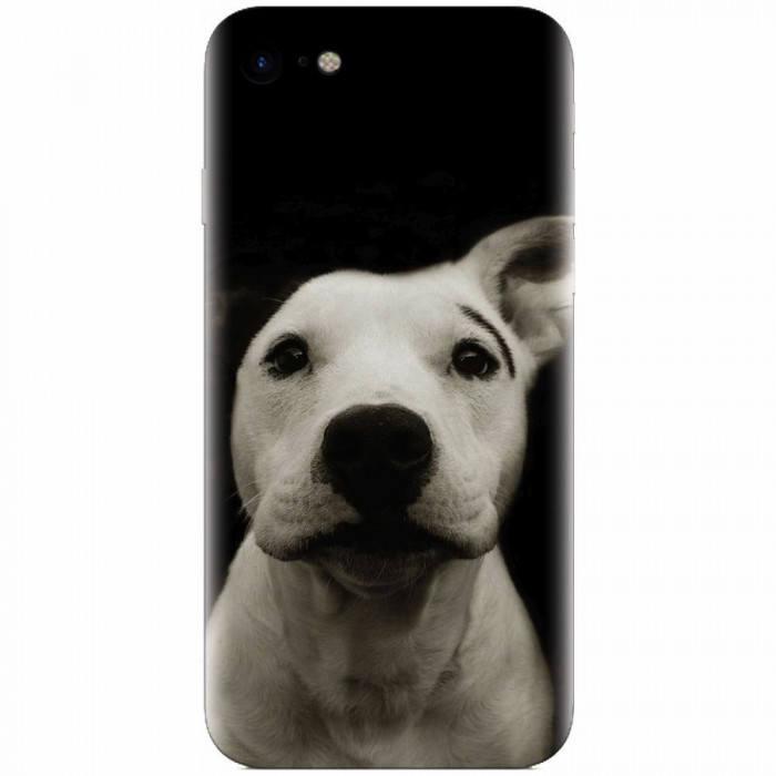 Husa silicon pentru Apple Iphone 6 / 6S, Funny Dog