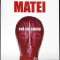 CEL CE SIMTE-TEODORA MATEI-351745