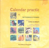 CALENDAR PRACTIC DE GRADINARIT. SEPTEMBRIE-OCTOMBRIE. COPACI SI ARBUSTI-CALENDAR PRACTIC DE GRADINARIT. SEP-267409