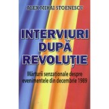 Alex Mihai Stoenescu - Interviuri după revoluție