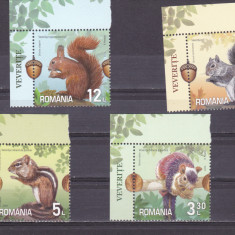 ROMANIA 2020 - VEVERITE, VINIETA,CU MARGINE DE COALA MNH - LP 2286