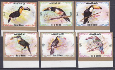 DB1 Fauna Pasari Ras al Khaima Tucani 6 v. NDT MNH foto