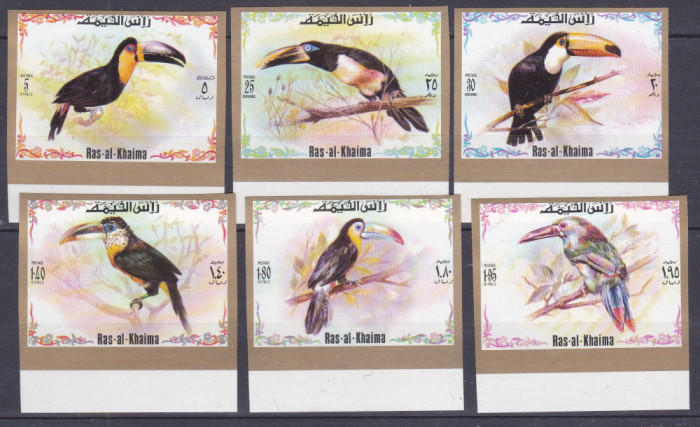 DB1 Fauna Pasari Ras al Khaima Tucani 6 v. NDT MNH