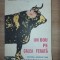 Un bou pe calea ferata- Valentin Silvestru