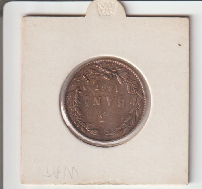 5 bani 1867