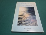 VISUL PERETELUI DE GHEAȚĂ * RĂZVAN PETCU * 2003 * 4 2 9