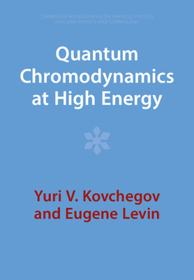 Quantum Chromodynamics at High Energy foto