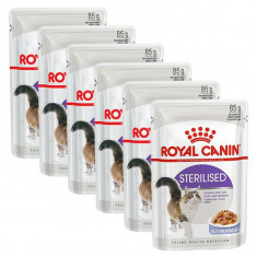 Royal Canin STERILISED in Jelly 6 x 85g - hrana in jeleu, ambalat in punga de aluminiu foto