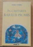 IN CAUTAREA RAIULUI PIERDUT MISTICI DIN CARPATI - VASILE ANDRU