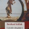 CULORILE DESPARTIRII-BERNHARD SCHLINK-238470