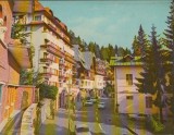 CPI B14837 - CARTE POSTALA - SINAIA. VEDERE, Circulata, Fotografie