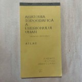 B. Menkes - Anatomia topografica a embrionului uman - Atlas