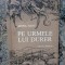 Pe urmele lui Durer - ADINA NANU