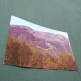 Cumpara ieftin CARTE POSTALA SINAIA -COTA 1400 VAZUTA DIN VF.PICUL CAINELUI NECIRCULATA