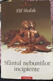 Sf&acirc;ntul nebuniilor incipiente - Elif Shafak, Polirom, Beletristica, 384 pagini, Uzata