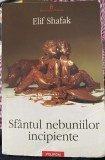 Sf&acirc;ntul nebuniilor incipiente - Elif Shafak