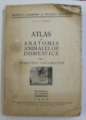 ATLAS DE ANATOMIA ANIMALELOR DOMESTICE de V. GHETIE , VOLUMUL I - APARATUL LOCOMOTOR , 1963 foto