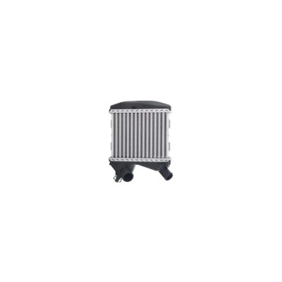 Intercooler SMART CITY-COUPE 450 AVA Quality Cooling MC4004 foto