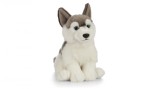 Catelus de plus Husky PlayLearn Toys, Keycraft