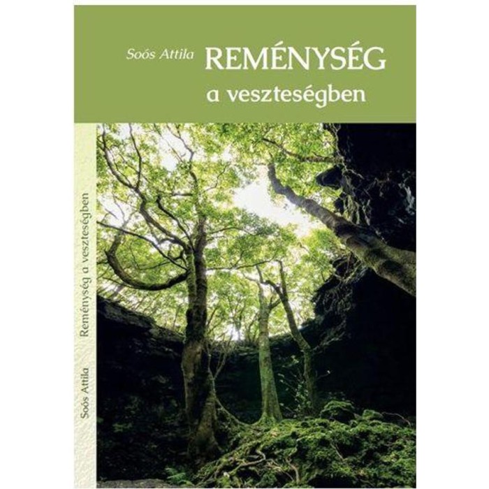Rem&eacute;nys&eacute;g a vesztes&eacute;gben - So&oacute;s Attila
