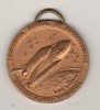 SV * Medalia CUPA MONDIALA LA AEROMODELE * FAI * SUCEAVA 1998 * RARA !