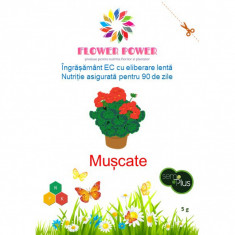 Ingrasamant Flower Power pentru muscate cu eliberare lenta efect 90 zile 5 grame SemPlus