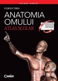 Anatomia omului. Atlas şcolar - Paperback brosat - Florica Țibea - Corint
