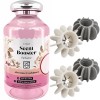Set Parfum Concentrat pentru Rufe, Absolute Cashmere, 250 ML si 4 Bile Reutilizabile pentru a Preveni Incurcarea Hainelor in Mas, EXPRESS