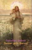 Hoinar prin Raiuri (Vol. 1) - Paperback brosat - Coriolan Babeți - Vremea