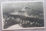 QW25 M - Carte postala - tematica turism - vedere - Muntii Bucegi 29