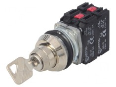 Comutator rotativ cu cheie 30mm 2NC 3NO IP56